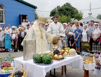 Служение митрополита