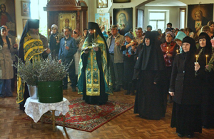 Фото Владимира Саяпина. Вербное воскресенье