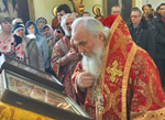 День Ангела Владыки Вениамина