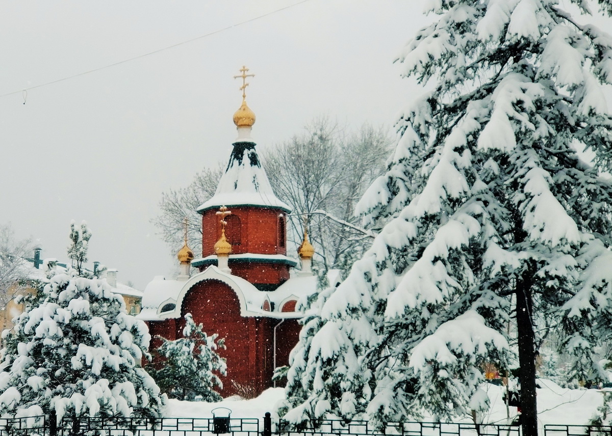 Итоги фотоконкурса «СВЕТ РОЖДЕСТВА» (+ Фото)