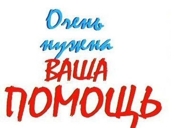 В Арсеньевской епархии возобновляетя сбор средств на по-мощь беженцам и пострадавшим мирным жителям